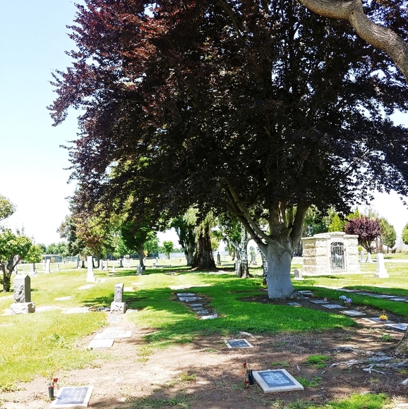 Closet Closing- OFFERS WELCOME - 20% GOES TO POSH ! SELLING CLOSET 📌 - Picture 15 of 16